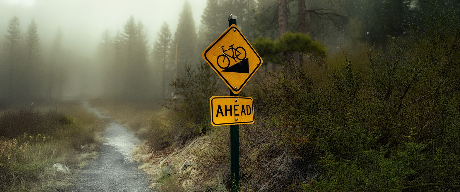 Every Brand Has a Journey — The Best Ones Design Theirs